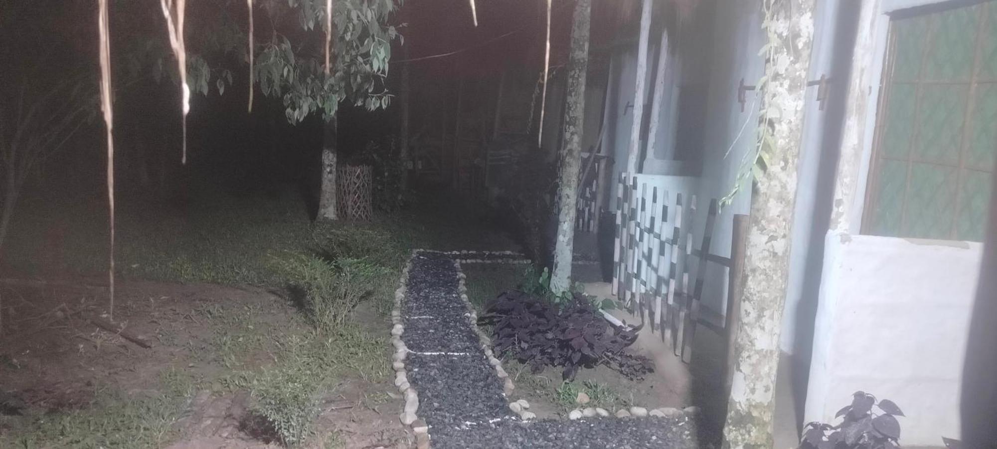 Vila Tranquil Bambusic Bliss Kāziranga Exteriér fotografie